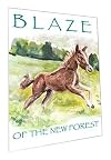 Blaze of the New Forest