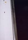 Anna Fox: Cockroach Diary
