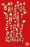 Bristol Short Story Prize Anthology: v. 4