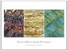 Stitch Rhythms & Patterns