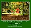 The Wonder and Beauty of Westonbirt