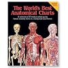The World's Best Anatomical Charts (World's Best Anatomical Chart Series)
