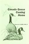 Canada Geese Coming Home