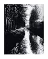 Brett Weston: Master Photographer