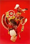 The Modern Fancy Dancer (Native American Dance Series)