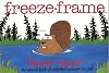 Freeze Frame: Beaver Fever: The Second Book of Collected Cartoons