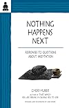 Nothing Happens Next: Responses to Questions About Meditation