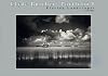 Clyde Butcher Florida Landscape