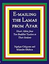 E-Mailing the Lamas From Afar