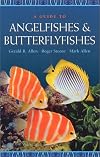 A Guide to Angelfishes and Butterflyfishes