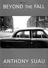 Beyond the Fall: The Former Soviet Bloc in Transition 1989-1999
