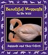 Beautiful Moments in the Wild: Animals and Their Colors (Moments in the Wild series)