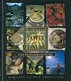 Explore the Tastes of Maryland