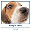 The Dog Beagle 2006 Calendar (Artlist Collection)