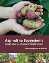 Asphalt to Ecosystems: Design Ideas for Schoolyard Transformation