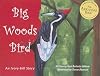 Big Woods Bird: An Ivory-bill Story