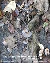 Phantograms from Nature, Western USA (Phantom 3D Books)