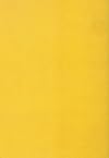 The Geometry of Hope: Latin American Abstract Art from the Patricia Phelps de Cisneros Collection