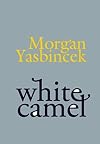White camel