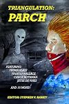 Triangulation: Parch (Volume 7)