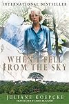 When I Fell From the Sky
