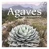 Agaves : species, cultivars & hybrids