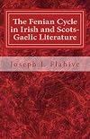 The Fenian Cycle in Irish and Scots-Gaelic Literature (Cork Studies in Celtic Literatures)