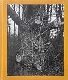Tim Carpenter: Christmas Day, Bucks Pond Road