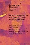 What's happened to the gender gap in political activity? : social structure, politics, and participation in the United States