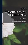 THE MORPHOLOGY OF PTERIDOPHYTES