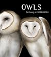 Owls: The Paintings of Jeannine Chappell