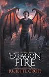 Dragon Fire