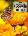The Fabulous Flower Book: A colorful book for seniors with alzheimers or dementia. With many different types of flower in a big, large print for elderly people or patients to help them feel calm