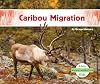 Caribou Migration (Animal Migration)