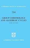 Group cohomology and algebraic cycles