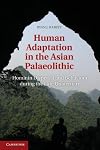 Human adaptation in the Asian palaeolithic hominin dispersal and behaviour during the late quaternary