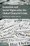 Economic and Social Rights after the Global Financial Crisis