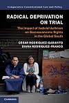 Radical deprivation on trial : the impact of judicial activism on socioeconomic rights in the Global South