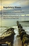Regulatory waves : comparative perspectives on state regulation and self-regulation policies in the nonprofit sector