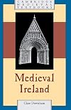 Medieval Ireland (Cambridge Medieval Textbooks)