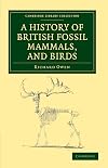 A History of British Fossil Mammals and Birds