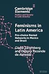 Feminisms in Latin America: Pro-Choice Nested Networks in Mexico and Brazil (Elements in Politics and Society in Latin America)