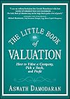 The Little Book of Valuation: How to Value a Company, Pick a Stock and Profit