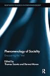 Phenomenology of Sociality: Discovering the ‘We’ (Routledge Research in Phenomenology)