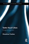 Tantric Visual Culture: A Cognitive Approach (Routledge Studies in Tantric Traditions)