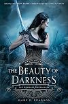 The Beauty of Darkness