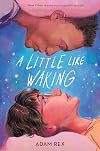 A Little Like Waking