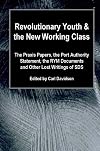 Revolutionary Youth And The New Working Class