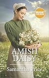 Amish Daisy