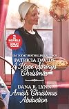 A Hope Springs Christmas [and] Amish Christmas Abduction